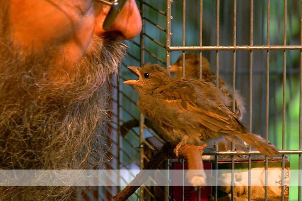 Filmthuer Mann vor einem Vogelkäfig