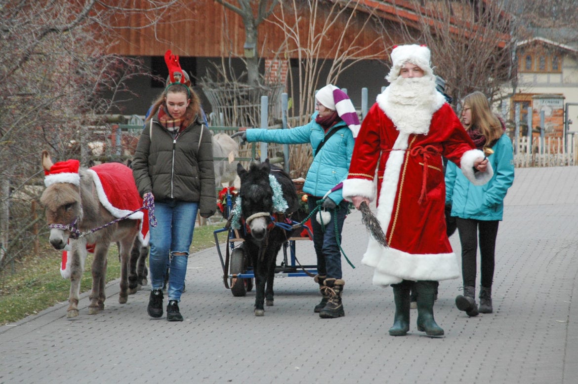 Tierische Weihnachten – t.akt präsentiert Geschichten aus dem Zoopark Erfurt